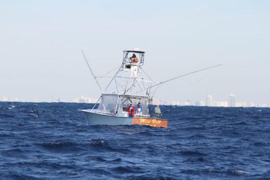  Miami Fishing Charters LLC - 10 Best Miami Fishing Charters